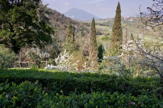 Palazzo Forani - Casperia - 8