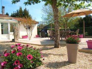 Gîte L'Hirondelle - Castelnau-de-Médoc - 9