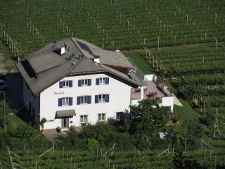 Rebhof Kaltern - Caldaro - 8