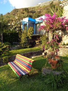 Magro´s House - Arco da Calheta - 9