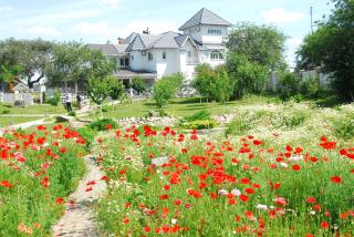 Maison Blanche Ecohousе - Mytnitsa - 0