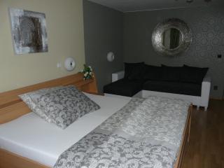 Hotel Olga - Slavkov u Brna - 2