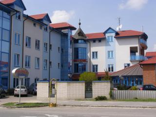 Hotel Vion - Zlaté Moravce - 9