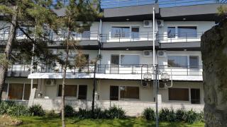 Complex Paloma Coral - 7