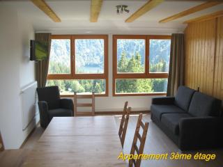 Les Terrasses du Lac Blanc - Studios & Appartements - Orbey - 6