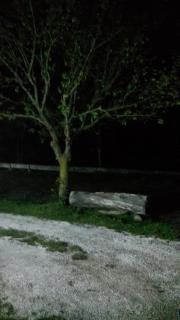 Agriturismo San Marco - Dragoni - 6