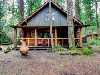 Zoe's Log Cabin - Welches - 1