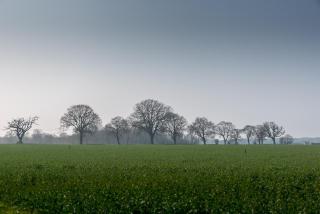 Little Abbey Farm - 1