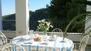 Al sur de Granada - 2