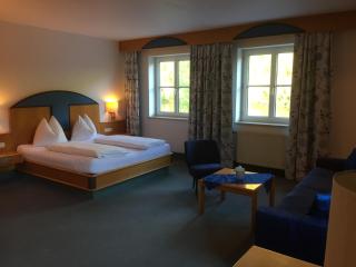 Hotel Goldenes Schiff - Engelhartszell - 3