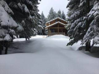 Uludag Orman Koskleri - Uludag - 0
