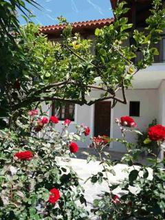 Athina apartments - Argassi - 3