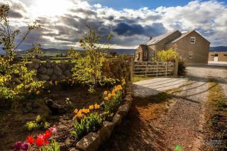 Samona - Kilkeel - 5