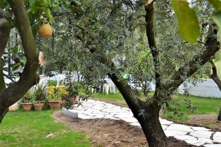 Il Girasole Formia Guesthouse rooms - Formia - 1