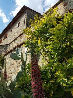 Affittacamere Adri - Uzzano - 6