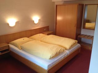 Hotel Papp-Mühle - Zersen - 1