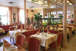 Hotel Ritter - Bruchsal - 9