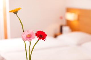 Hotel.Pension.Golingen - Golling an der Salzach - 5