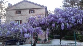 Rio Verde camping villaggio - Costacciaro - 5