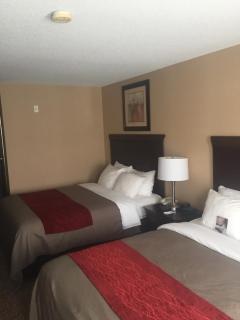 Comfort Inn & Suites Scarborough-Portland - Scarborough - 1