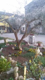 B&B Peschi in Fiore - Valeggio sul Mincio - 8