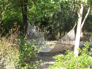 Jim's Jungle Retreat - Ramnagar - 1