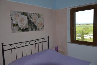 Podere S.Giulia - casale Banditelle - Venturina Terme - 8