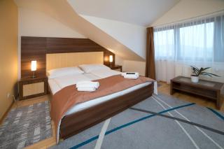 Hotel Art - Písek - 6