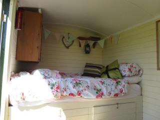 Bryn Parc - Llandysul - 0