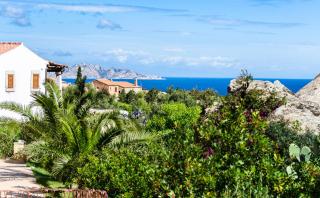 Rocce e Mare - Porto Cervo - 8