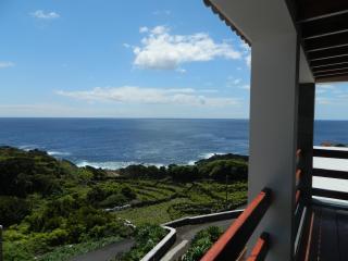 Adega Ninho da Cagarra - Calheta de Nesquim - 2