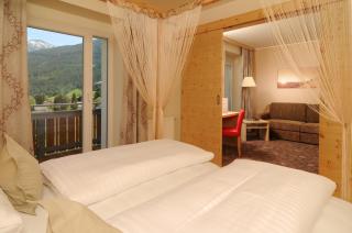 Hotel Tauernstern - Winklern - 9