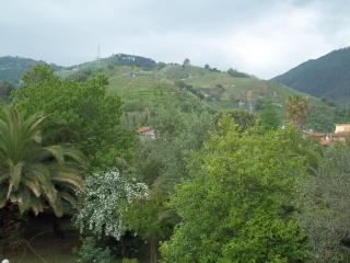 Tempio - Massa - 2