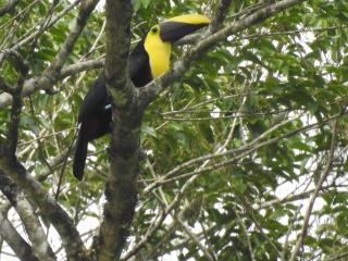 Rio Celeste Backpackers - 4