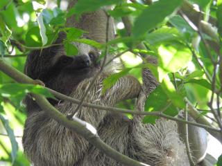 Rio Celeste Backpackers - 7