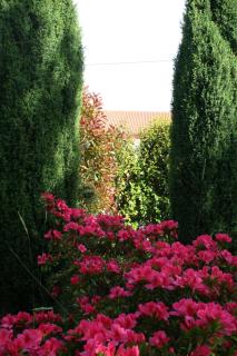 Hostal Pereiriña - Cee - 1