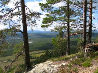 Galå Fjällgård - Galåbodarna - 5