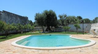 Casa Serena - Relax in Masseria a Monopoli - Monopoli - 8