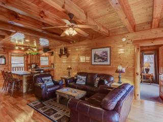 Million Dollar View Cabin - Dupont Springs - 3
