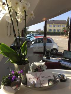Hotel garni Kaiserstuhl - Ihringen - 6