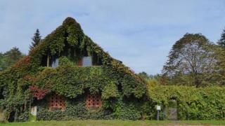 Hotel und Freizeitanlage Rauch-Hof - 5