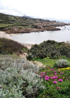 Villetta Cenni - Santa Teresa di Gallura - 2