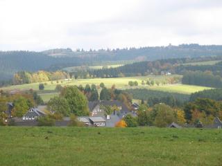 Ferienwohnungen Landgasthof Gilsbach - Winterberg - 5