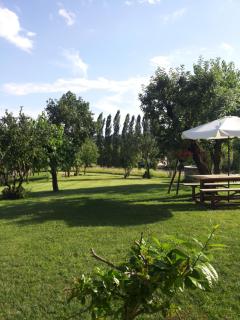 B&B Santa Fosca - Pederobba - 0