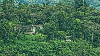 The Guest Suites at Manana Madera - Boquete - 0