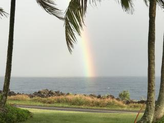Nice Studio w/ AC near Kehena Beach and lava fields - Kehena - 1