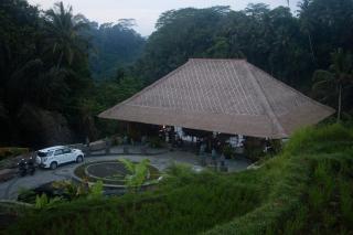 Natya Resort Ubud - Ubud - 1
