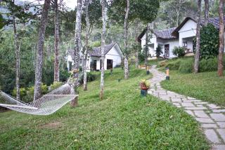 Niraamaya Retreats Cardamom Club - Thekkady - 8