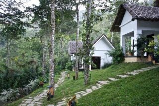 Niraamaya Retreats Cardamom Club - Thekkady - 5