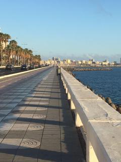 Celia House - Las Palmas de Gran Canaria - 4